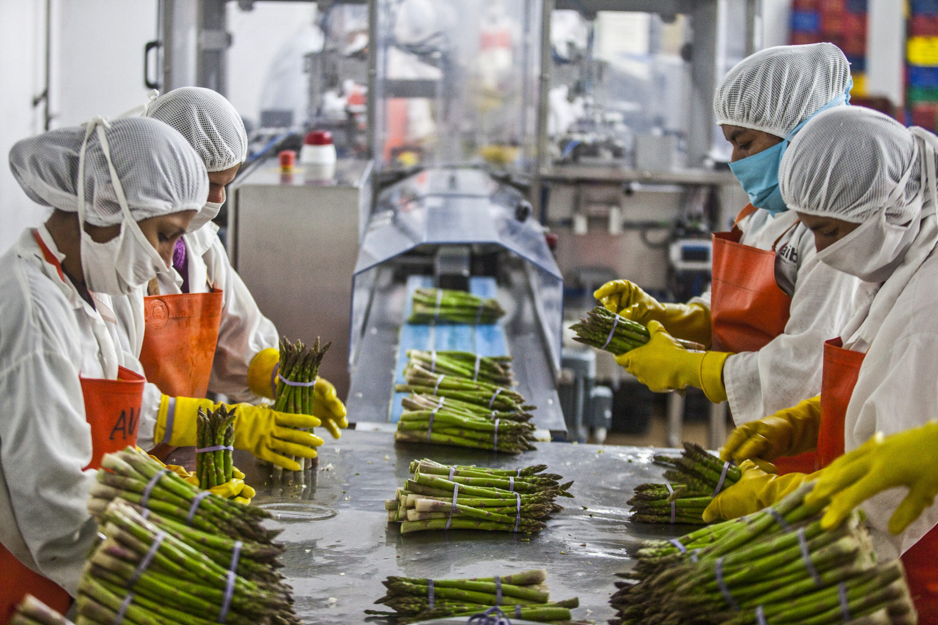 Food & Processing
